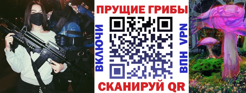 Купить  Козельск  Псилоцибиновые грибы Psilocybine cubensis 