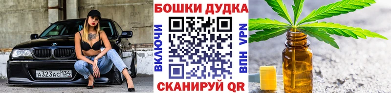 Бошки Шишки конопля  Купить где  Козельск 